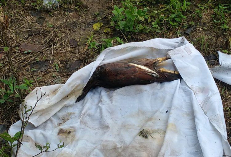 Kecoh kain kafan di tanah kubur didakwa berisi bayi