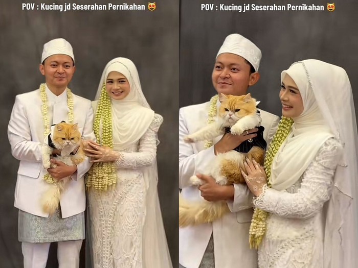 ‘Oyen’ jadi hantaran mewah