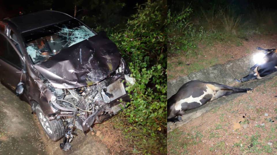 Bayi 11 bulan maut dalam pangkuan ibu selepas kereta langgar lembu