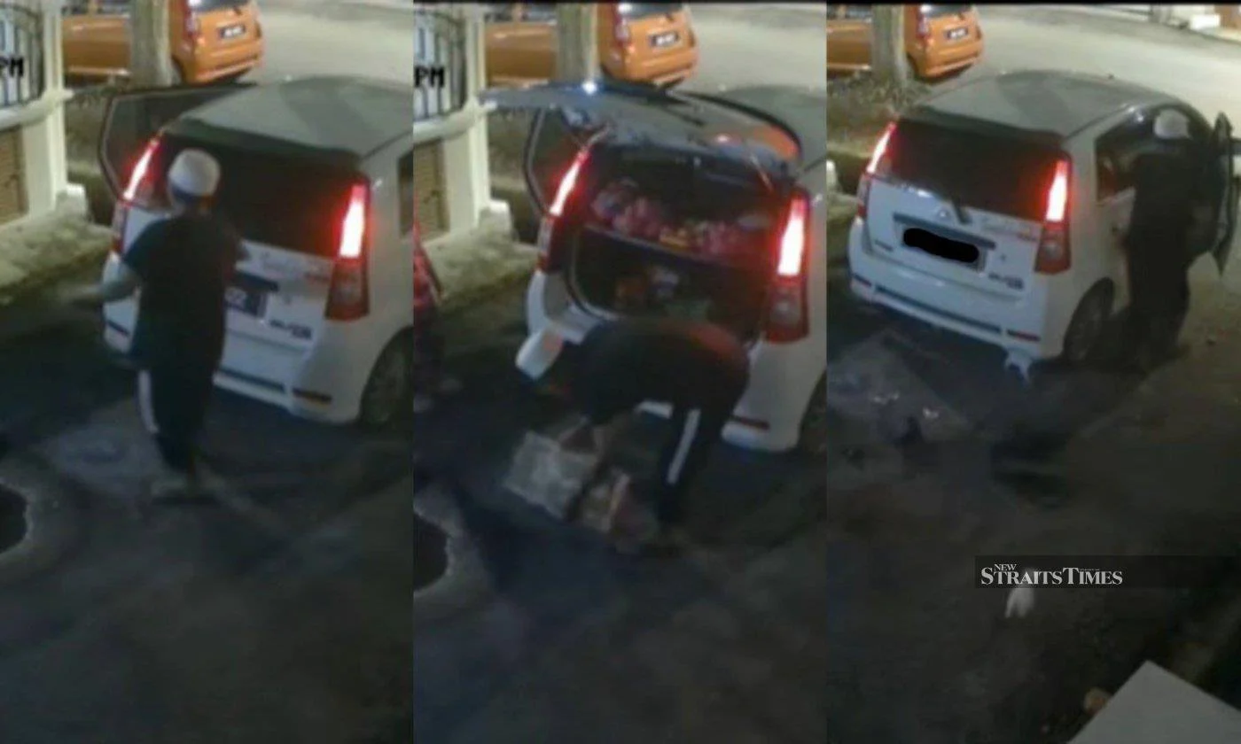 Man caught on camera 'heartlessly' abandoning kittens, police report lodged