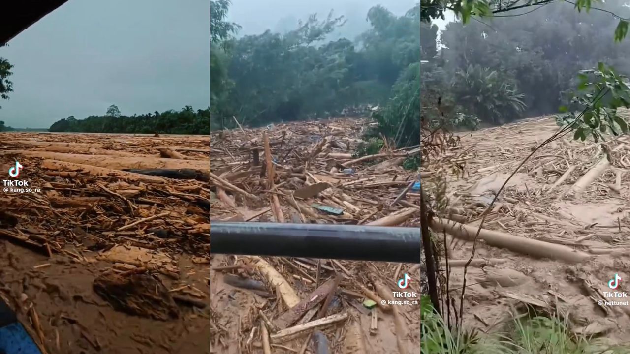 Penduduk ketakutan, banjir lumpur bawa beribu-ribu balak