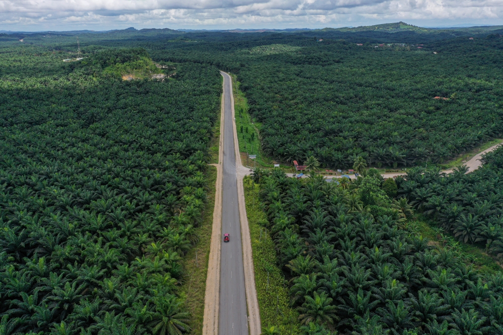 By-election puts Kinabatangan under spotlight as residents call for transparency and better roads