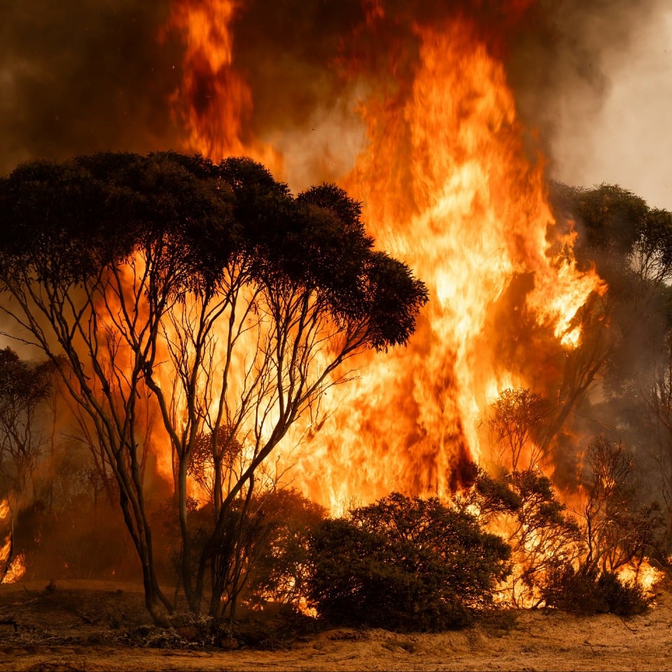 Hampir 3,000 kebakaran dilaporkan sejak awal tahun - Bomba