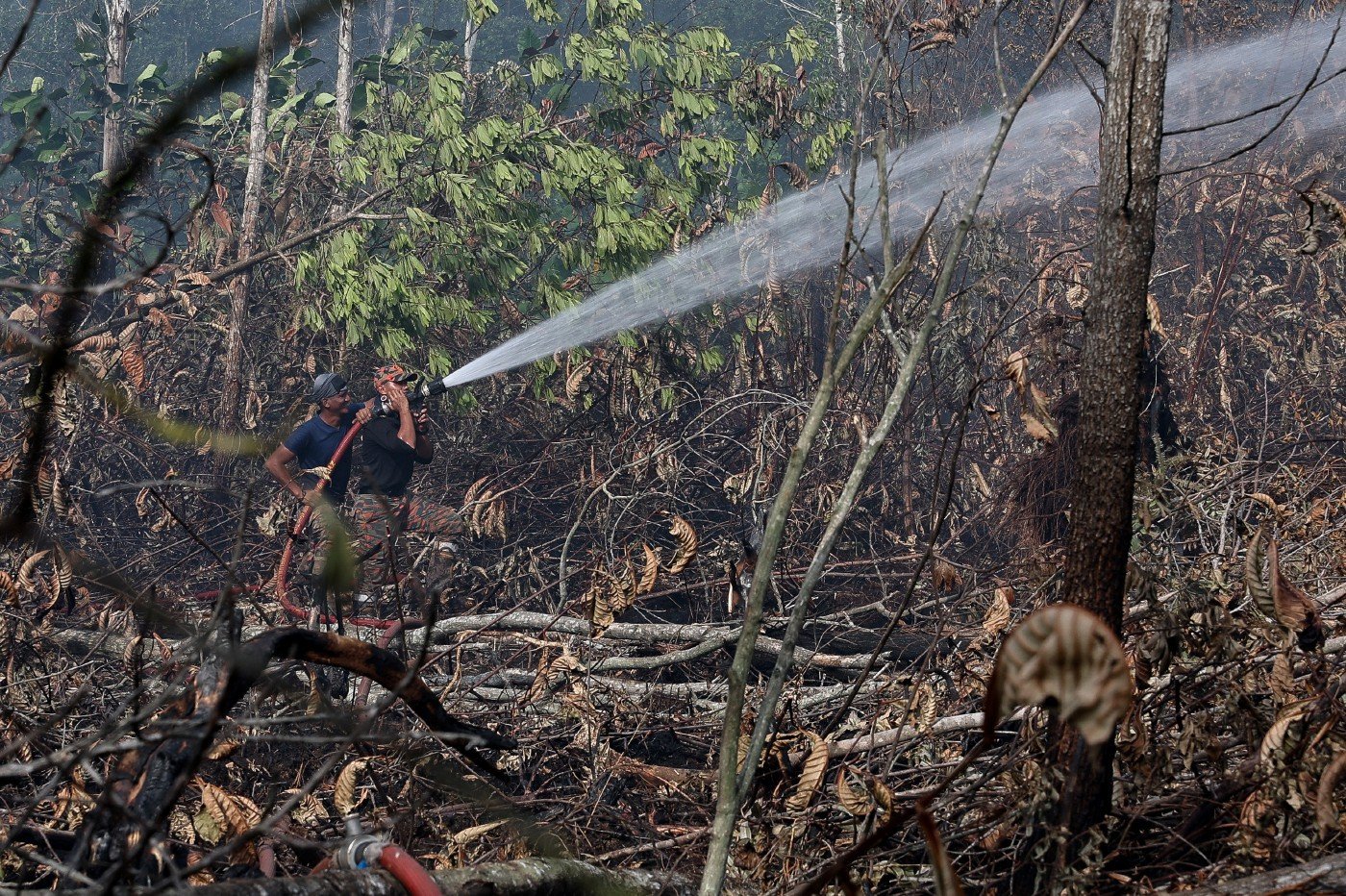 Johor peatland fire extinguishing operation 50pct complete