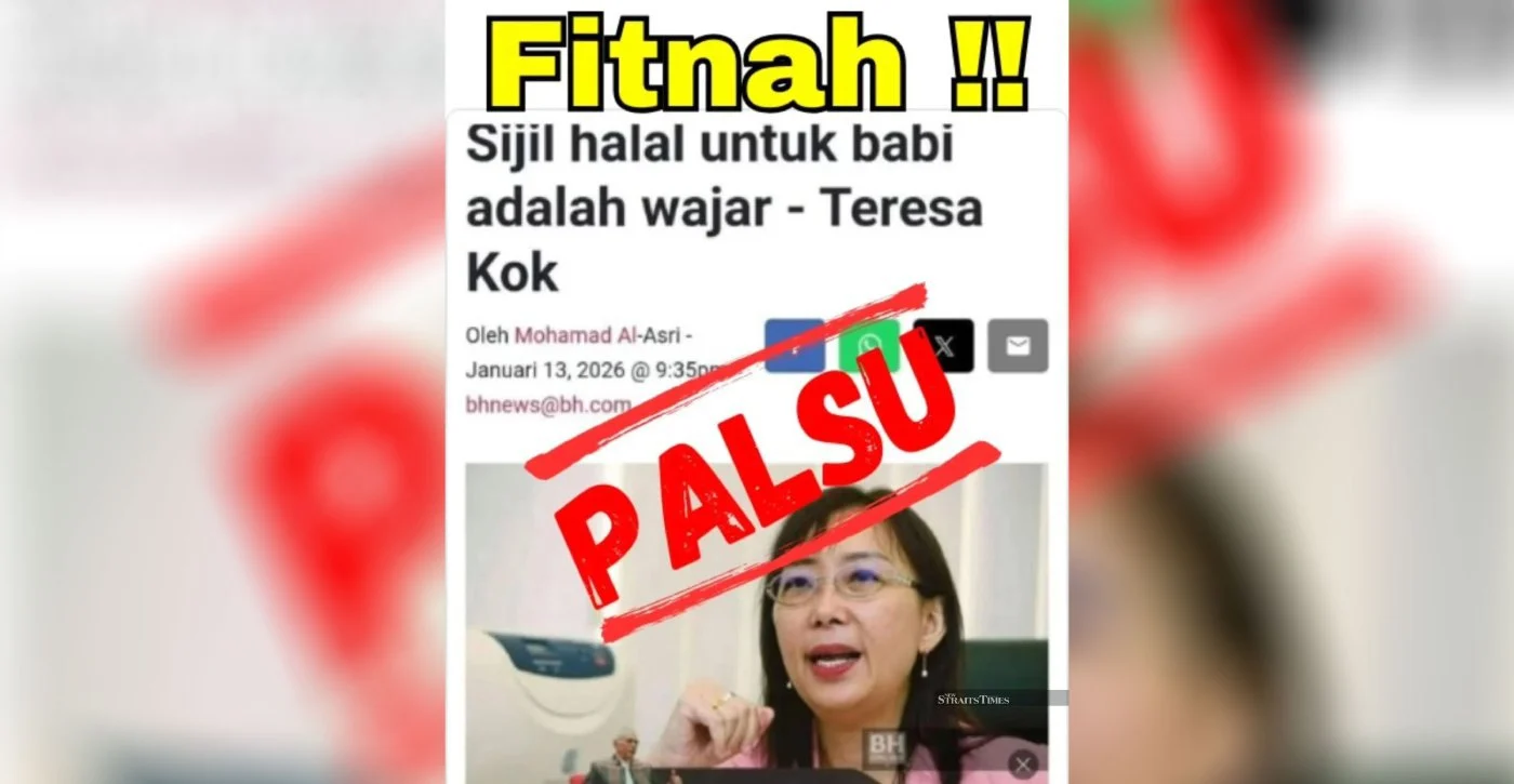 Teresa Kok lodges police report over fake article