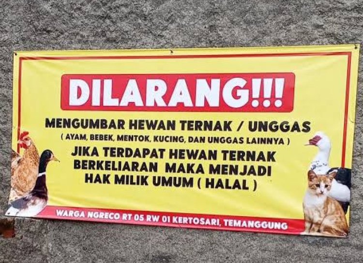 Penduduk boleh masak ayam, tangkap kucing jiran