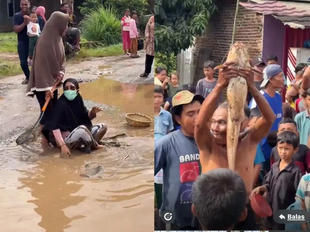 Penduduk tangkap keli besar dalam lopak