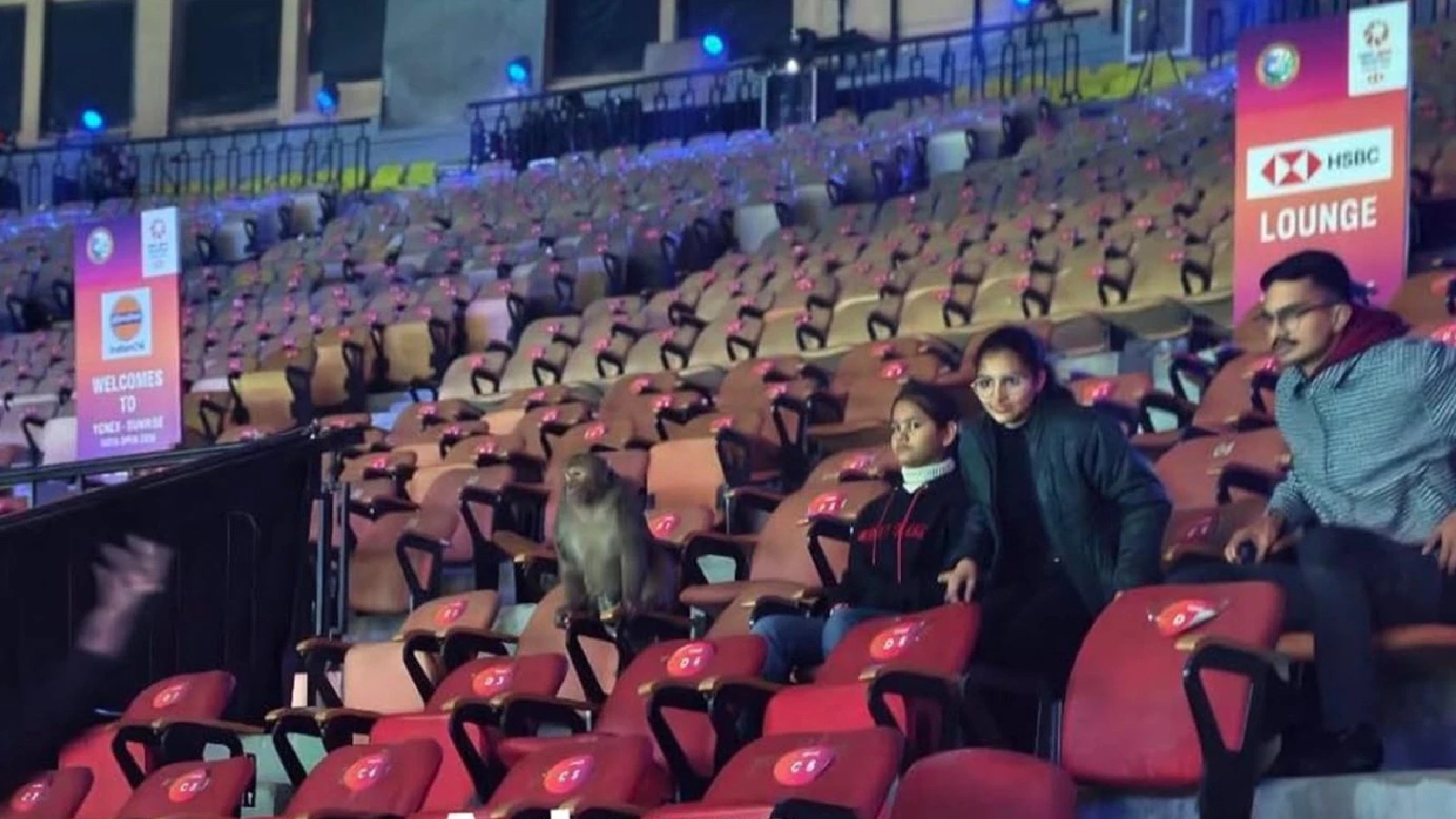 Monyet, najis burung sambut pemain Terbuka India