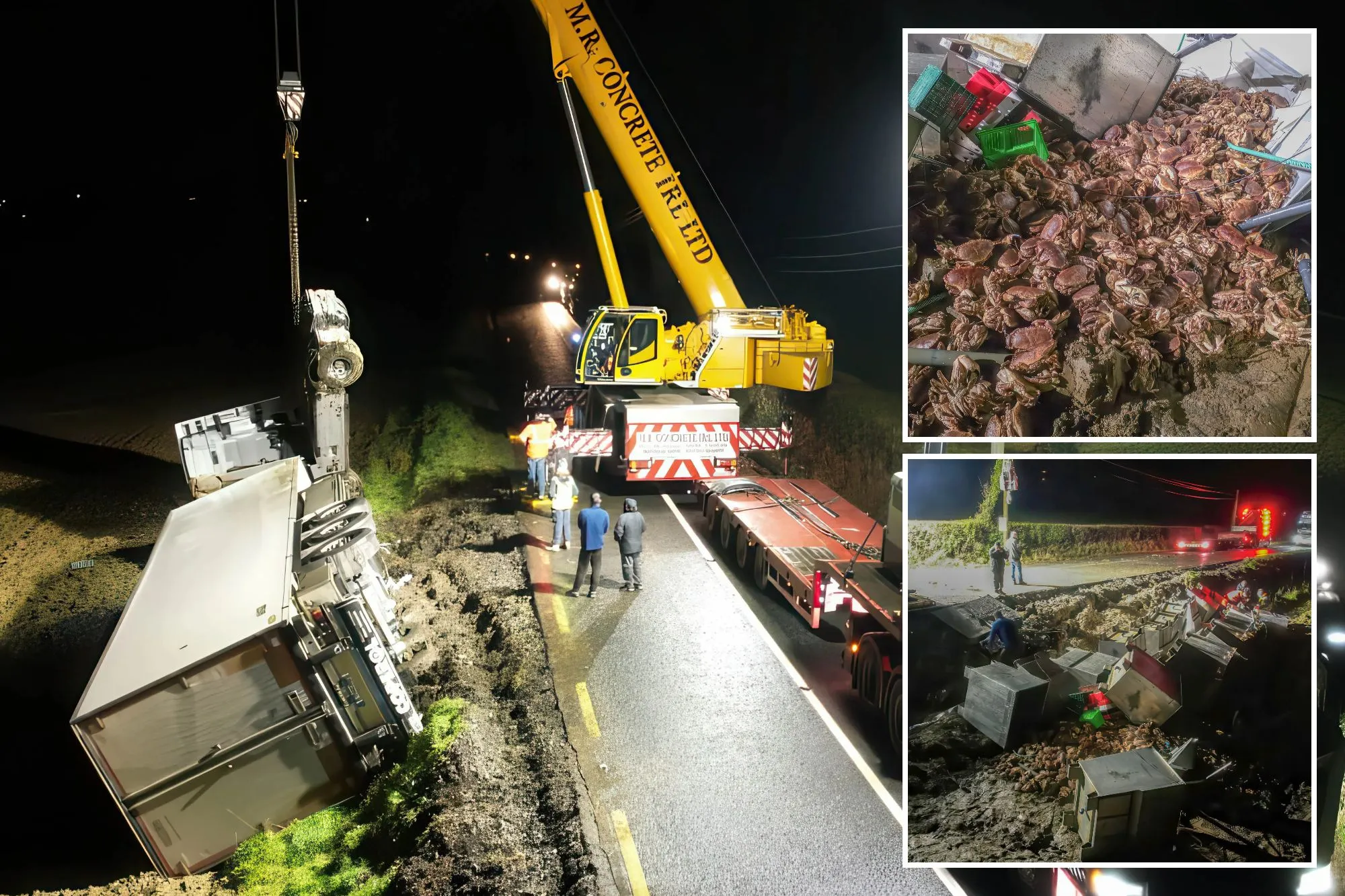 15,000 ketam bertaburan di tepi jalan 