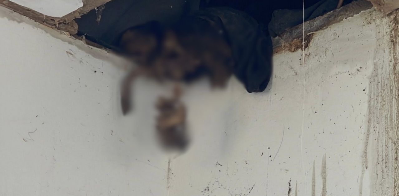 Rangka manusia dalam siling rumah