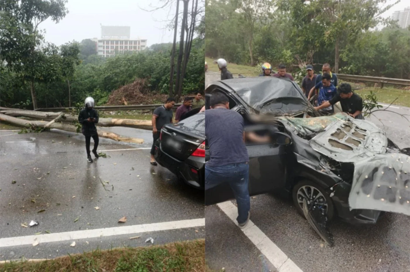 E-hailing driver, passenger critically injured after car struck by fallen tree