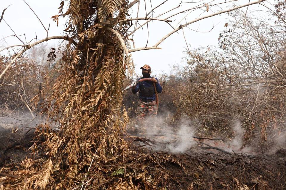 2 letupan dikesan ketika operasi memadam kebakaran ladang PPNJ