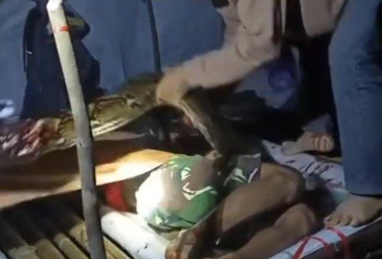 Lelaki dibelit ular 6 meter semasa tidur