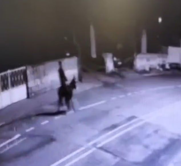 Perompak tak ada ‘taste’, lari tunggang keldai 