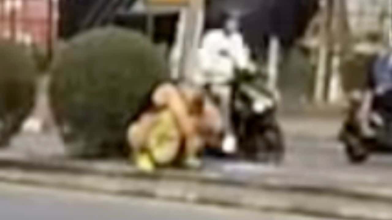 Pelancong selamba berak tengah jalan