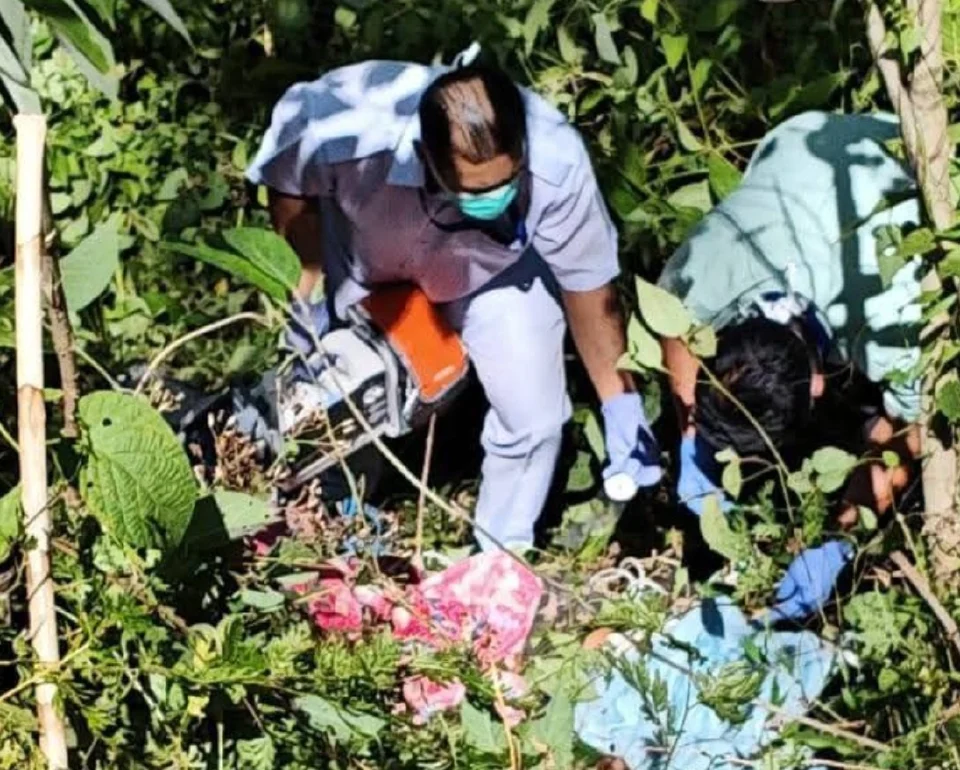 Lelaki maut jatuh pokok petai