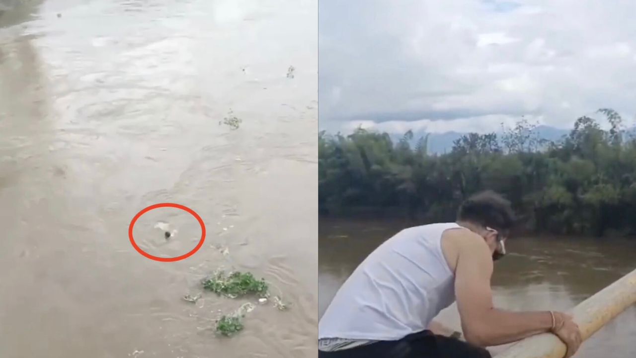 Lelaki lemas, terjun sungai demi ‘konten’