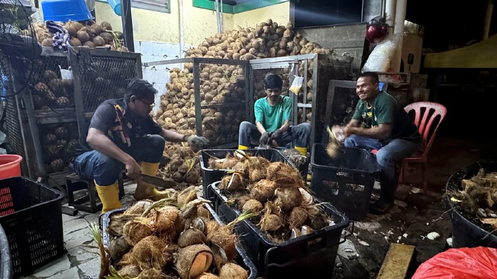 Cracking demand: Santan trader hits 10,000 coconuts a day ahead of festivities