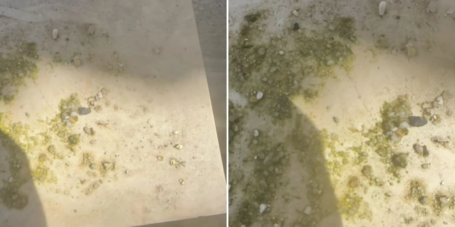 Lelaki jumpa ketulan emas dalam perut itik