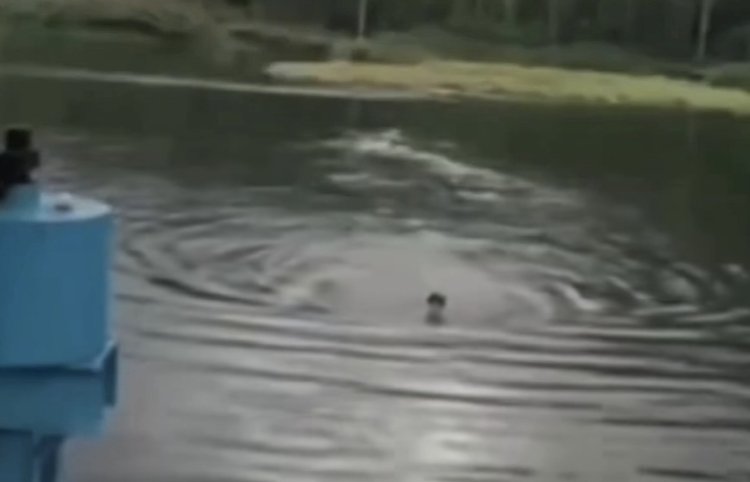 Lelaki tenggelam terjun kolam ketika ‘live’ di TikTok