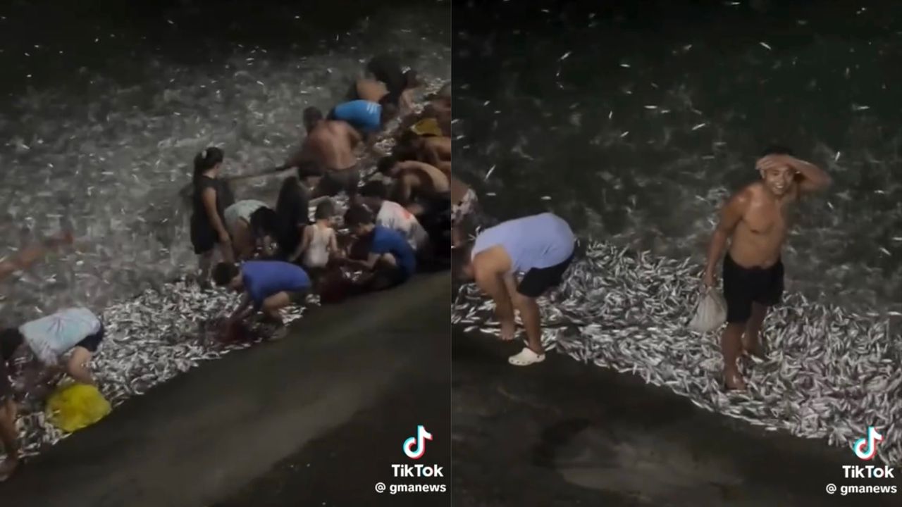 Ratusan ribu ikan meloncat ke darat semasa gerhana bulan