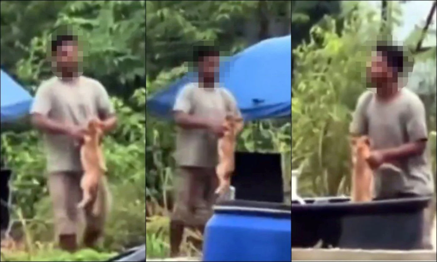 Man seen trying to drown puppy sparks outrage online