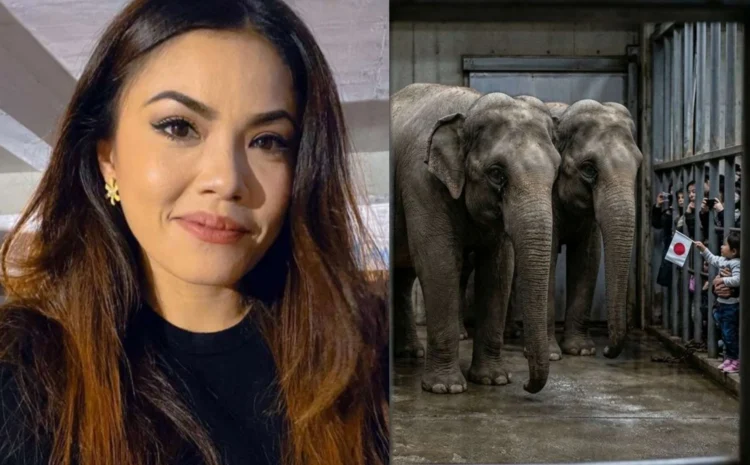 Luahan Tiz Zaqyah Tentang Gajah Undang Simpati