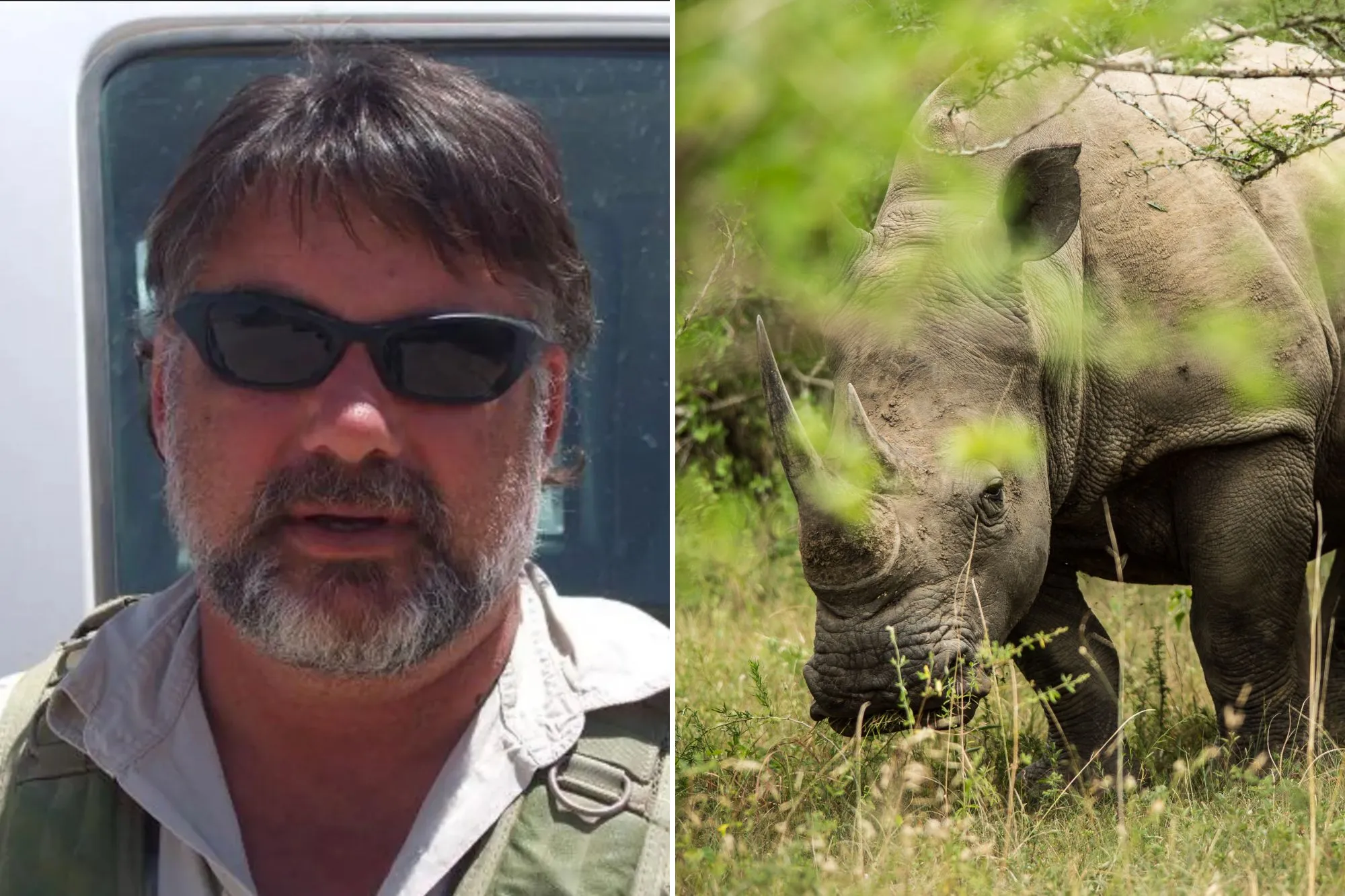 Aktivis haiwan maut ditanduk badak sumbu