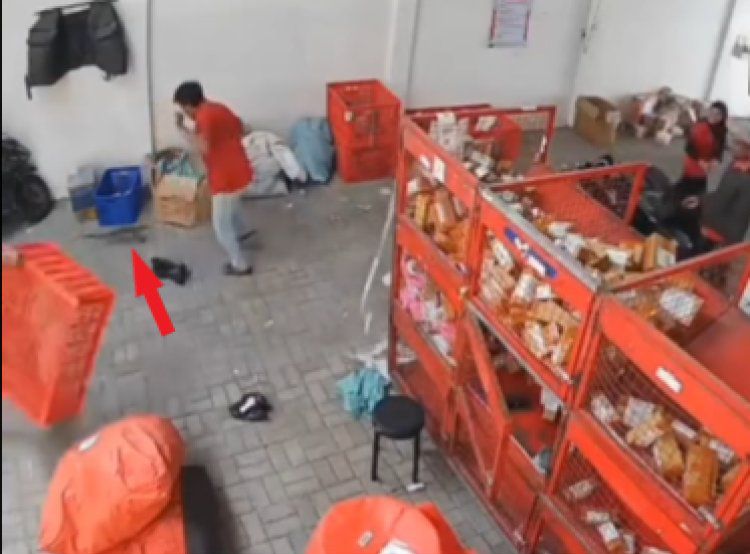 Siapa ‘order’ biawak dalam talian?