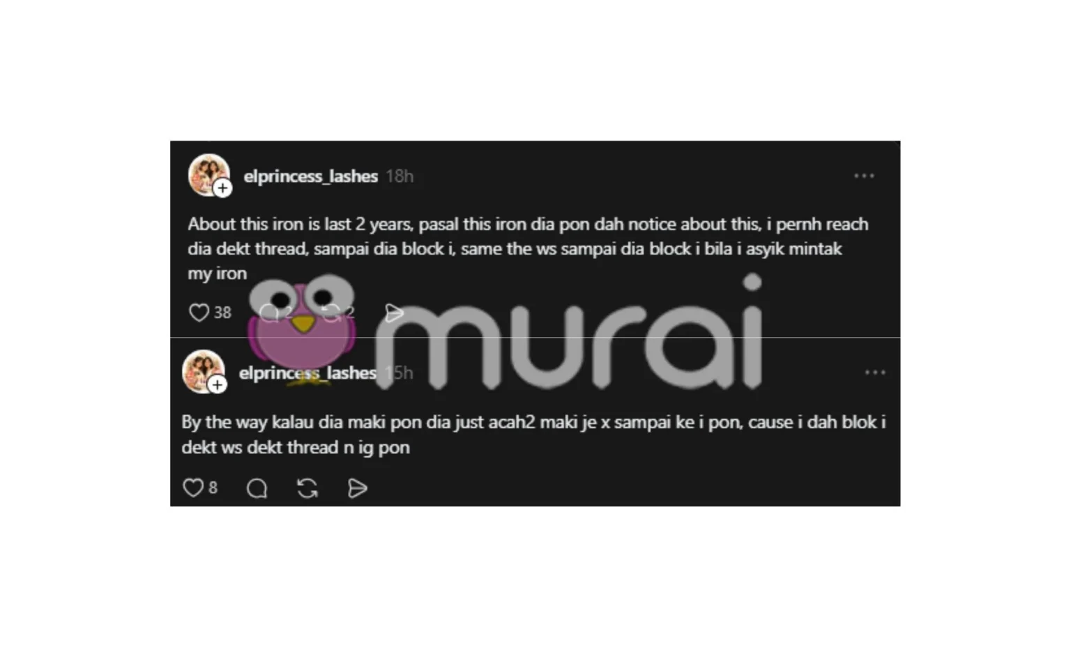 Muncul Individu Dedah Sarah Yasmine Tak Pulangkan Seterika