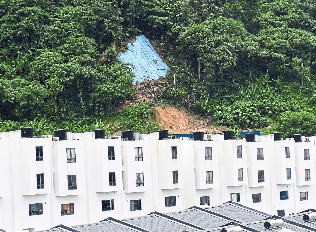 Stop-work order on hillside project