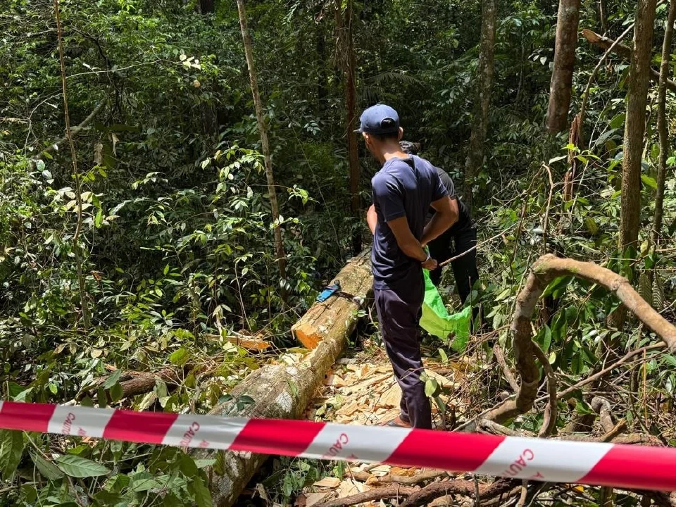 Warga Kemboja dicekup dipercayai tebang pokok gaharu di Taman Botanikal Ayer Keroh