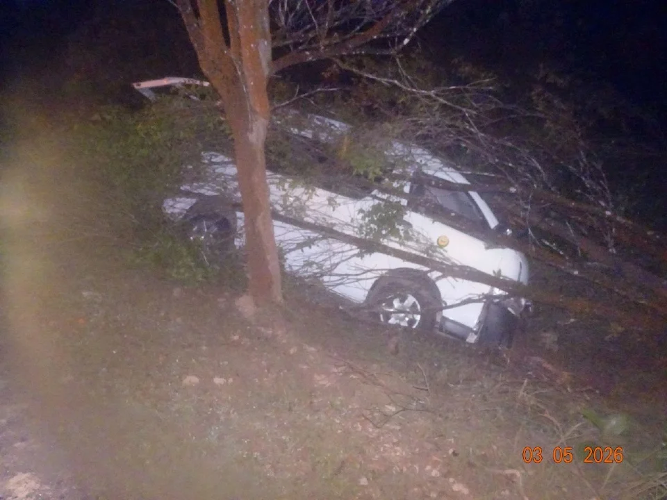 Warga emas maut van dinaiki langgar pokok