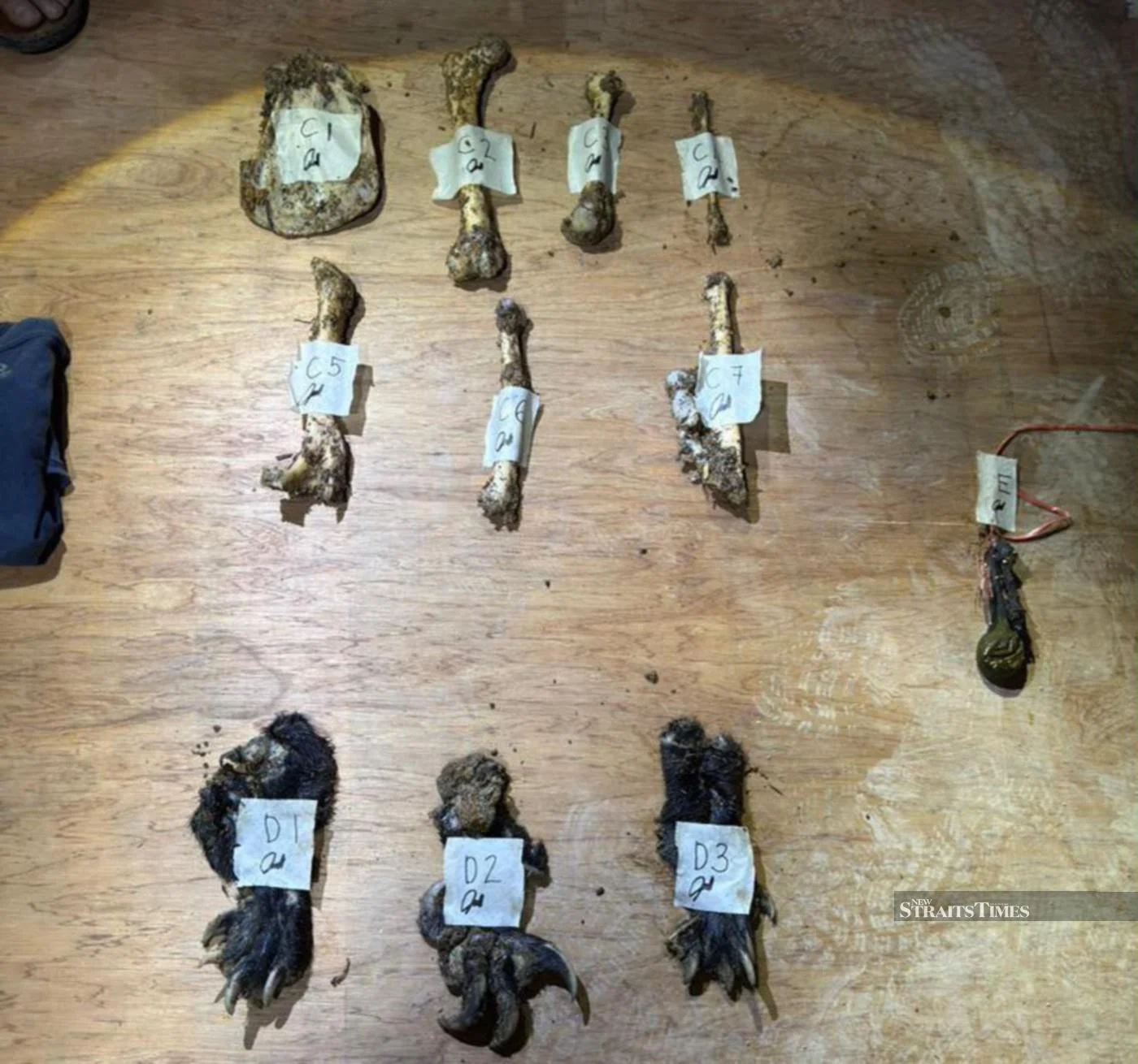 Police detain six Myanmar citizens over suspected poaching activities