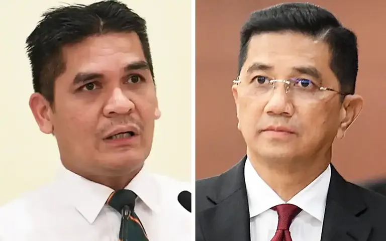 Bersatu duo relieved of roles in PN