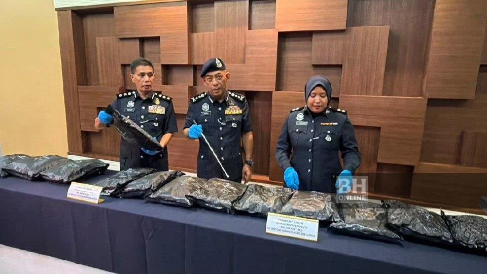 Sudah 4 kali lepas, pelajar IPTS 'transporter' bunga ganja RM1.17 juta ditahan dalam percubaan kelima
