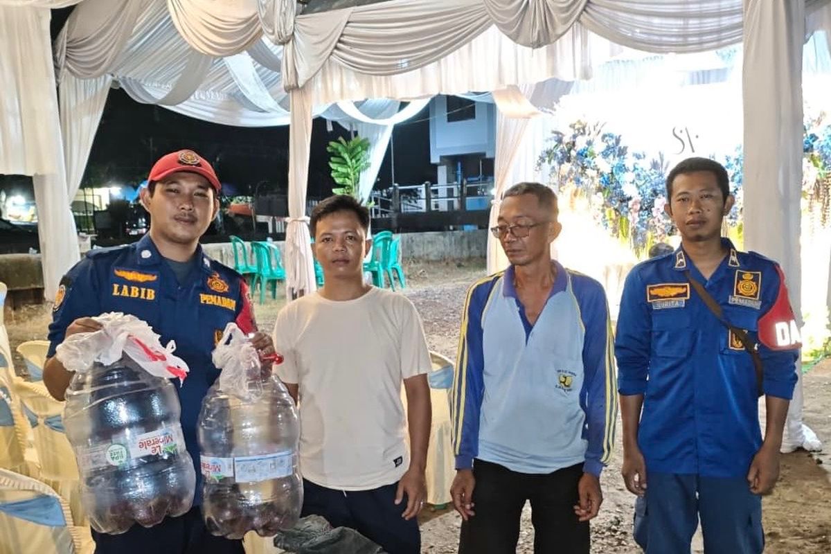 Kenduri nyaris tak jadi, 2 tedung gergasi masuk dapur
