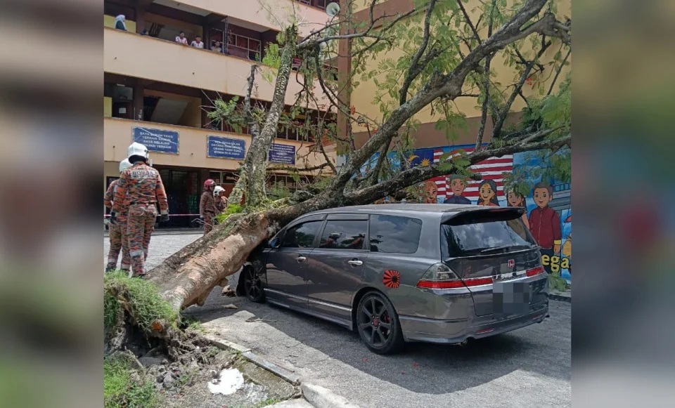 Pokok tumbang hempap 2 kereta di kawasan sekolah