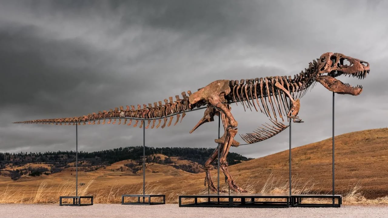 Fosil T-Rex catat harga lebih RM203 juta, termahal dunia