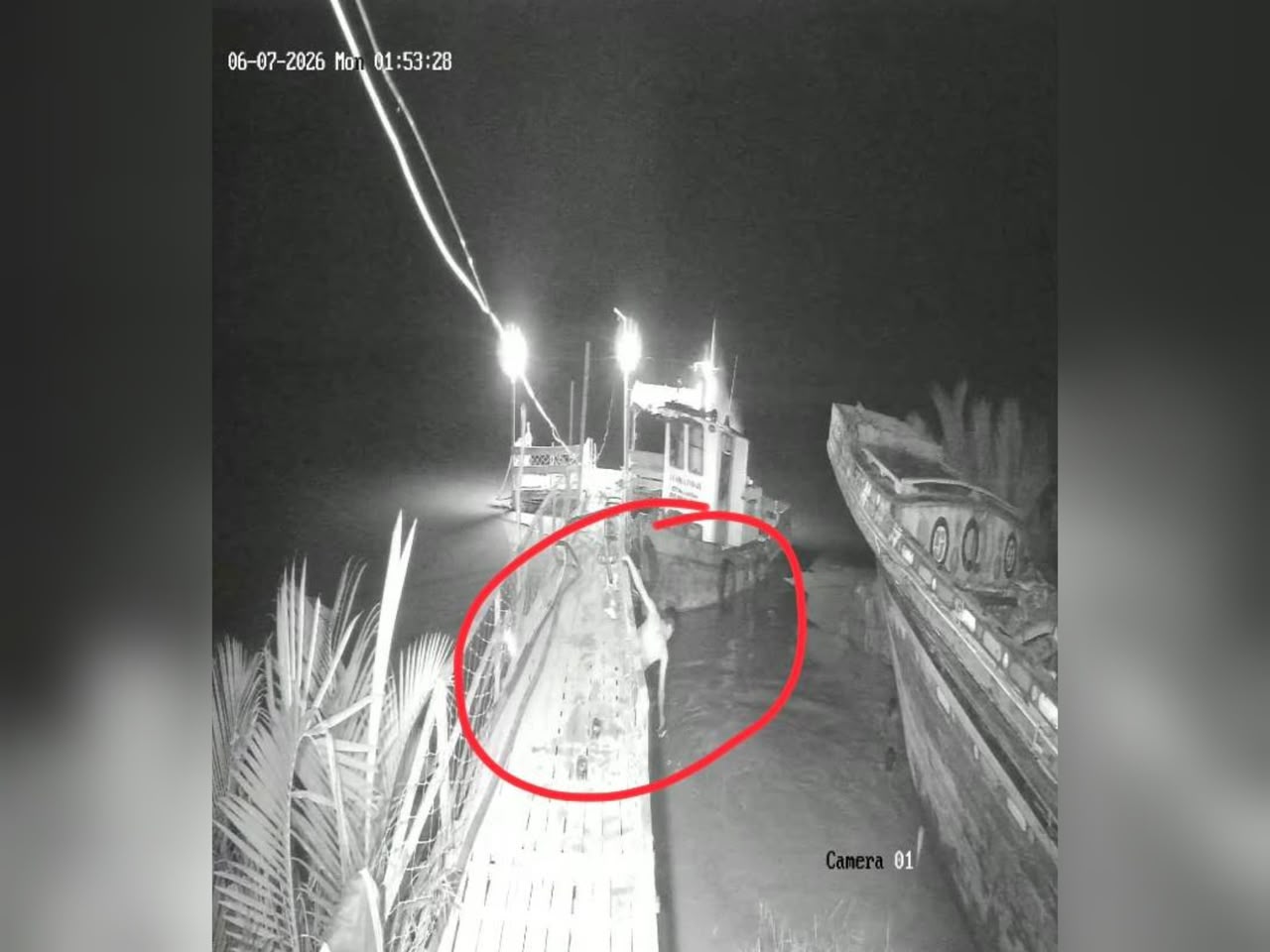 Lelaki dibaham buaya semasa baiki perahu
