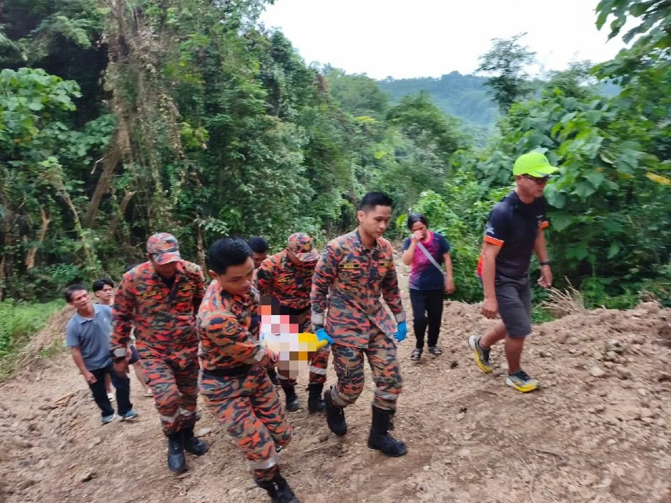 Warga emas parah dihempap pokok di Tamparuli