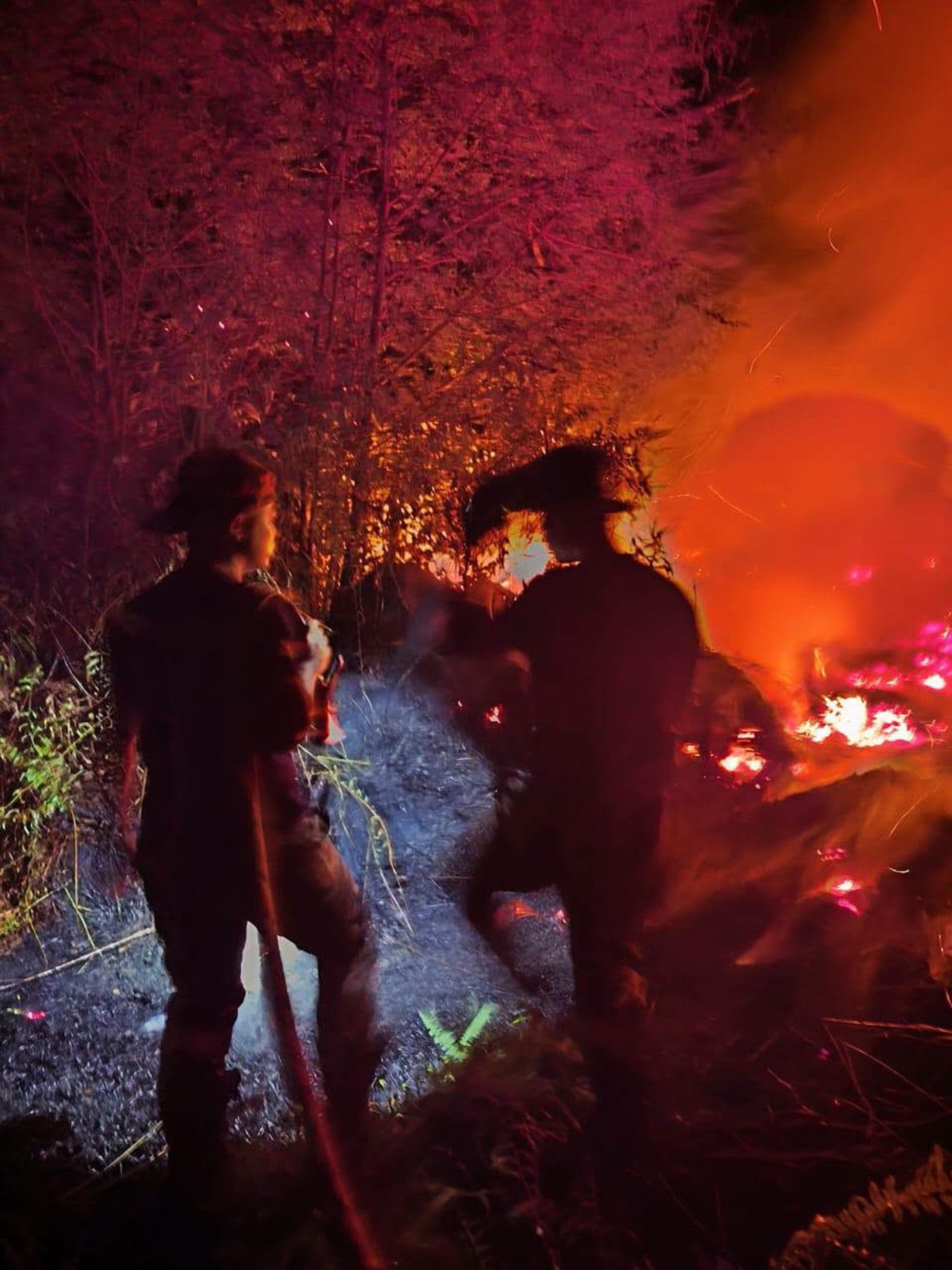 Fire at Bidor FRIM forest, operation resumes this morning