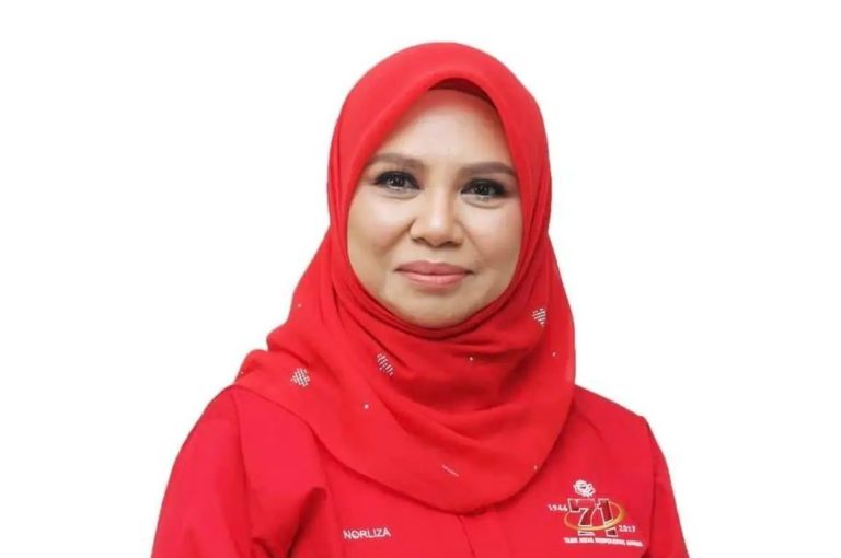 Jasa Najib Tidak Harus Dipinggirkan – Norliza