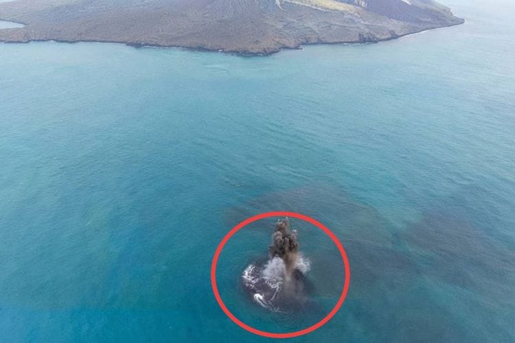 ‘Cucu Krakatau’ muncul di Selat Sunda