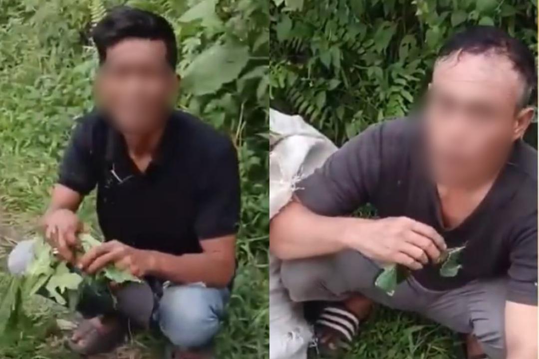 2 pencuri dihukum makan daun betik
